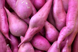 訳ありでもホックリサラリ！新品種「ゆきこまち」色々なサイズ入り  5キロ箱