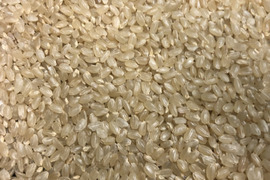 令和4年産ミルキークイーン白米10kg　一等米
有機肥料使用、最小限の農薬で栽培
食味値80点以上