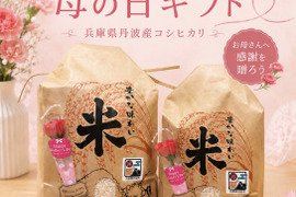 【母の日ギフト】 ミニカーネーションを添えて🌷令和7年丹波産コシヒカリ 🌾精米10kg 兵庫県丹波産 甘い！炊きたてはもちろん冷めてもおいしいごはん🍚毎日お弁当の方ぜひ✨️