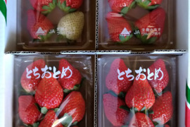 とちおとめとスカイベリーの食べ比べセット
【いちご食べ比べ】