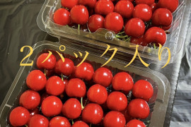 （予約販売：特別価格！！！)山形県産　さくらんぼ　紅さやか　400g