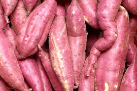 訳ありでもホクホクむっちり！「栗かぐや」色々なサイズ入り 3キロ箱