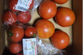 まみっくさん専用　有機栽培トマト