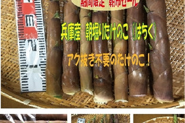 淡竹の通販｜たけのこ｜食べチョク｜産地直送(産直)お取り寄せ