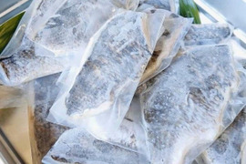 【冷凍】キビレ切り身　２Kg