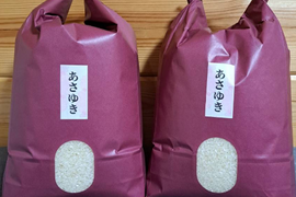 新米！令和7年青森県産米あさゆき5kg×2