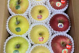 🍎🍏人気の3種🍎🍏定番ふじ・人気のぐんま・貴重なはるか　美味しい3種ミックス🍎贈答用３キロ【冬ギフト】