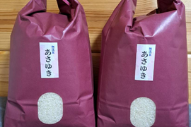 令和5年青森県産無洗米あさゆき5kg×2