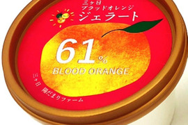 【希少！国産ブラッドオレンジ使用】陽だまりファーム　果汁たっぷりでしっとりとした食感♪　ブラッドオレンジジェラート　18個セット　果汁６１％使用！
