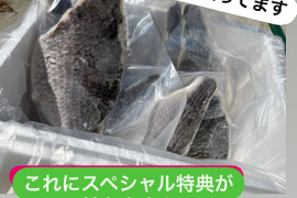 【冷凍】黒鯛　２kg入り　☆スペシャル特典付き☆