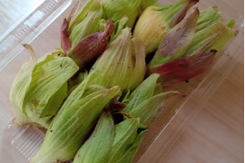 白神山麓 フレッシュふきのとう ２００ｇ山間の天然もの