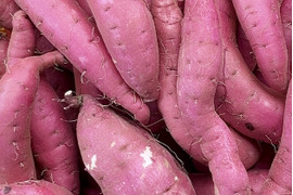 訳ありでもホクホクむっちり！「栗かぐや」色々なサイズ入り 3キロ箱