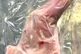 仔猪の骨付き肉【0.62kg】