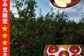 青森県産りんご　高級りんご　糖度13%以上保証　限定販売★★★蜜入りサンふじ約3キロ