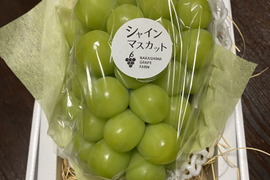 夏ギフト　エメラルドグリーンの輝き！矢掛町産シャインマスカット一房箱（約700g）