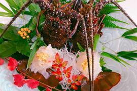 鮮度抜群!和歌山県産 活 伊勢海老【約200gサイズ 3尾】約600g