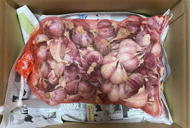 スーパーマーケットでは中々手に入らない　茨城県産　霧島にんにく　バラ2kg
