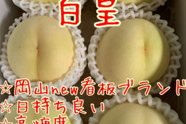 岡山県産　推奨品種【白皇】ご家庭用約2kg(6～9個入り)