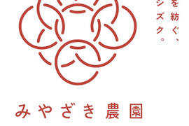 超希少！熊本県ブランド品種『ひのしずく』３００g✖️２P