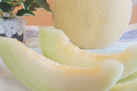 【限定生産】香りも美味しい！渥美半島産きみかメロン(２玉)