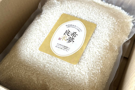 新米❗️令和6年産石川県産特別栽培米コシヒカリ希夢良米10キロ真空パック