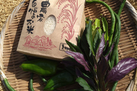 【リオレのレシピつき】新米１kgとお野菜