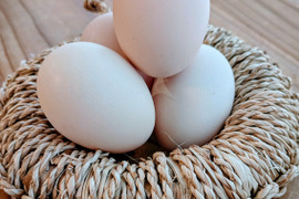 【ワクチン・抗生物質オールフリー】土遊野の平飼い卵30個　Sサイズ中心　レモンイエローの黄身！