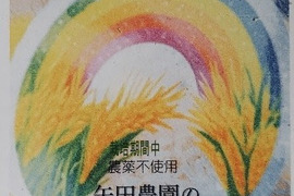 令和8年産　農薬不使用　虹のきらめき　精米　5kg