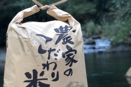 【令和5年】｢新米｣ヒノヒカリ 5kg
『50名限定』イノシシから守り抜いたお米です。byさわちゃん農園