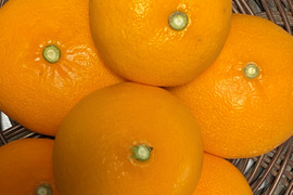 食べ比べ【数量限定☆希少の高級柑橘🎁】せとか１㎏&(麗紅)れいこう１㎏🍊