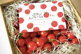 【夏ギフト】甘み・旨味・酸味にこだわったミニトマト_1kg