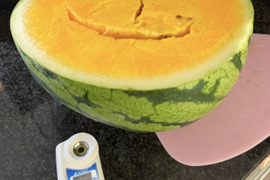 糖度13度【サマーオレンジベビー】スイカ：茨城県産のサマー