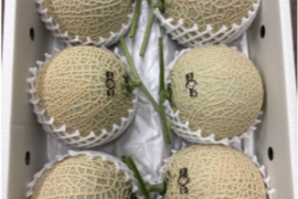 【ひとりじめメロン】6玉で7kg高糖度マスクメロン