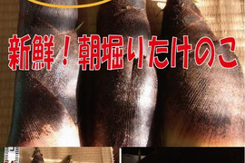 【最短発送】兵庫産朝掘りたけのこ3.5kg
