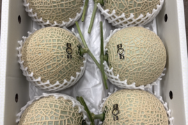 【ひとりじめメロン】6玉で7kg高糖度マスクメロン