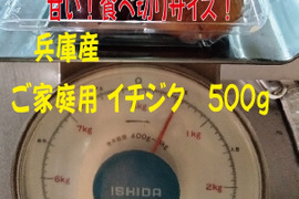 農薬不使用栽培　兵庫産 ご家庭用　イチジク　500ｇ②