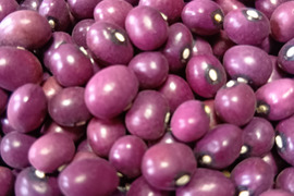 《メール便》【お徳用】ぽっけのさくら豆1㌔【北海道自然栽培】