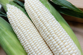 野菜界のフルーツ！？ホワイトコーン