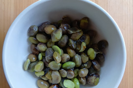 大豆 自然栽培の通販｜食べチョク｜産地直送(産直)お取り寄せ通販