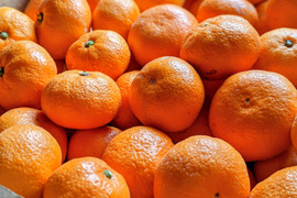 蔵出しみかん約3kg世界農業遺産認定の和歌山県海南市下津町の特産品