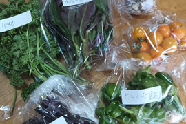 旬の野菜セット　5月〜編