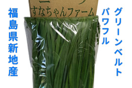 ニラ100g×10束セット(1キロ)