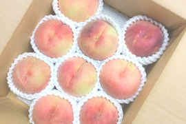 川中島 2kg ご家庭用 山形県産 8〜15玉入
