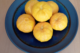 有機JAS認証　柚子（ゆず）2000g