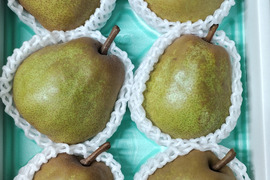 高貴な香り山形ラ・フランス【３Kg】