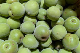 【訳あり】採れたて!!まる美農園の紀州南高梅　3kg　（栽培期間中除草剤不使用）