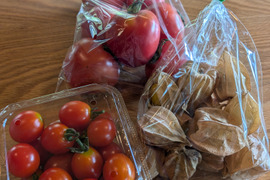 [全て自然栽培]甘い中玉トマト+ミニトマト+甘酸っぱいフルーツほおずきセット