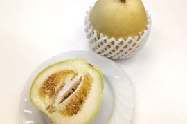 有機JAS 夢 旭メロン2㎏箱　京都府亀岡市の固定在来種