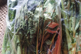 期間限定・春の野菜セット【80サイズ】※野沢菜とう立ち菜、雪下ほうれん草、雪下キクイモ