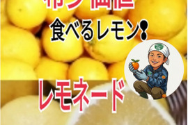 採れたて新鮮‼️【食べるレモン】スウィートレモネード❣溢れる果汁！